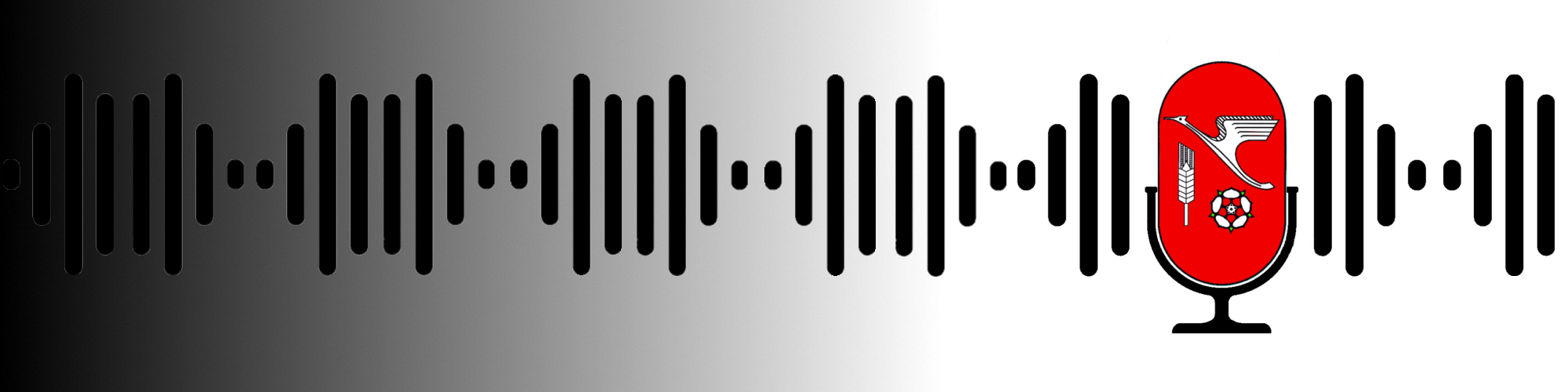 Domols Podcast